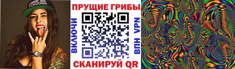 что такое   мега зеркало  Псилоцибиновые грибы Magic Shrooms  Юрьев-Польский 