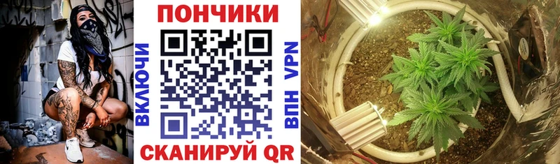 Бошки марихуана White Widow  Юрьев-Польский 
